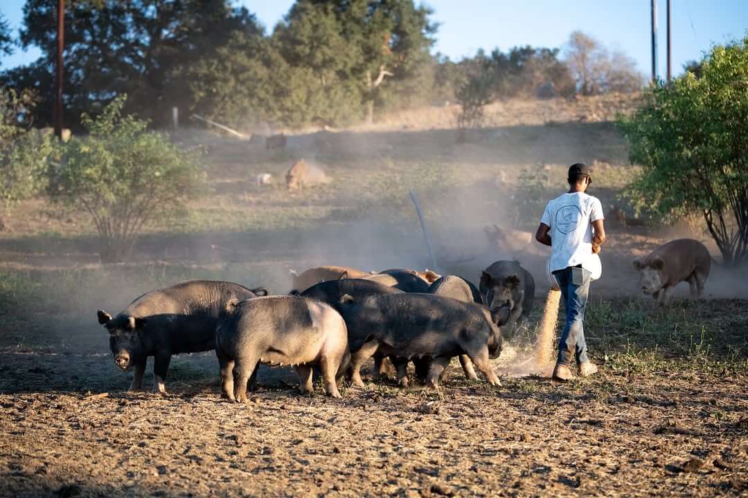 Thompson Heritage Ranch Imags1